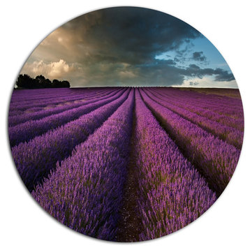Lavender Field And Dramatic Sky, Floral Round Metal Wall Art, 11"