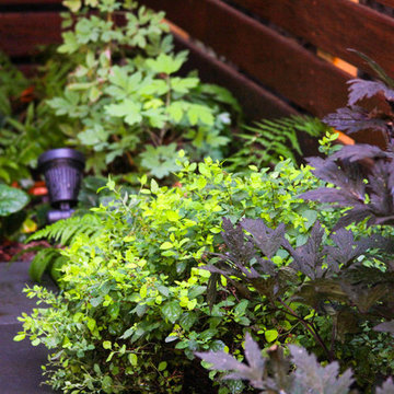 Brooklyn Glam Garden
