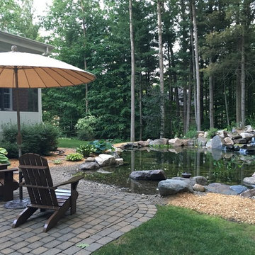 Back yard Oasis