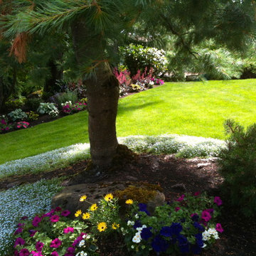 Nature Attracting Home in the Hills