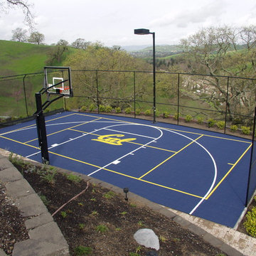 Backyard Game Court