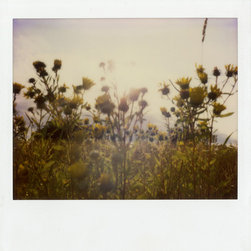 Photography - Products