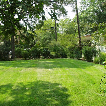 West Austin Federalist Beauty