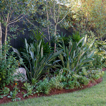 Residential Landscape Design | Layered Tropical Planting