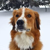 John Powers's photo