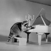 Brad Gillette's photo