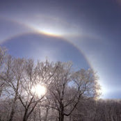 Tim L's photo