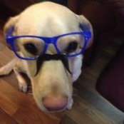 Abbie Langohr's photo