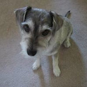 Lanie OBrien's photo