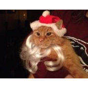 Gerry O'Brien's photo