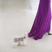 Zeynep Kose's photo