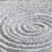 Michael D'Alto's photo