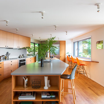 Modern Seattle Renovation