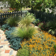 Front Yard Project 2022-2023