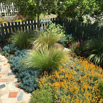 Laguna Beach Cottage Garden