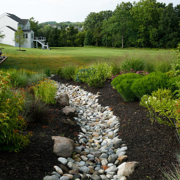 Conservation Meadowscape