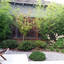 Yard One Year Later