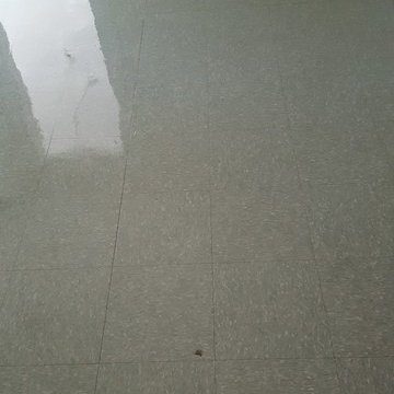 Floor Finish - VCT