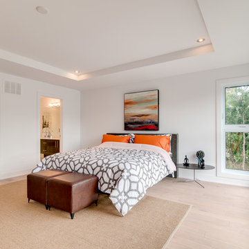Contemporary Bedroom
