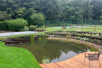 Garden Pond - Surrey