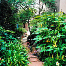 pathway