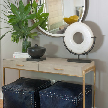 Atlanta Transitional Glam Home