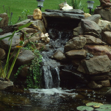 Ponds and Streams