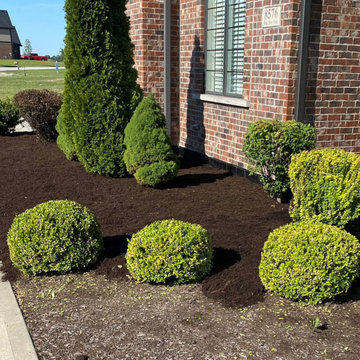 Mulch/Pine needle