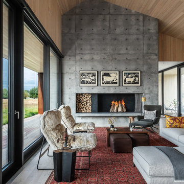 Contemporary Living Room