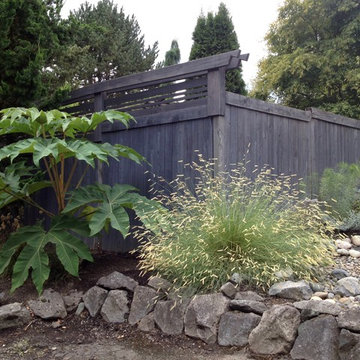 Marian's minimal maintenance - front garden