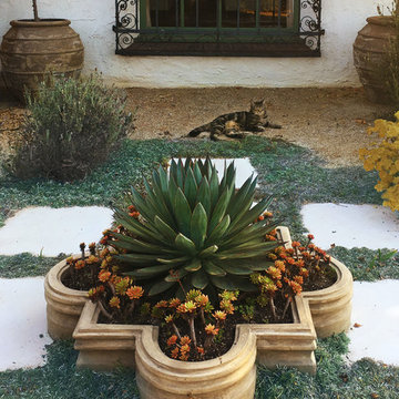 Vivacious Mediterranean Front Yard