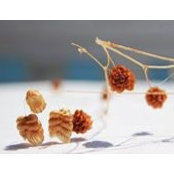 Ellen Perina's photo