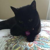 Amy McMahill's photo
