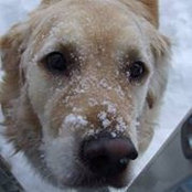 Tracy Regan-Moss's photo