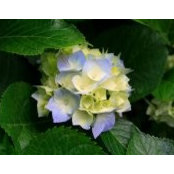 Pamela Kindberg McKnight's photo