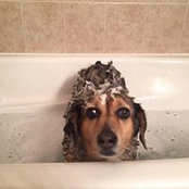 Jessica Reczek's photo