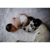 Nicolle Hanson's photo