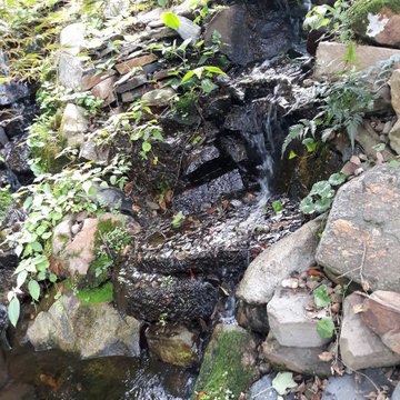 Water features