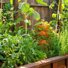 Exterior Ideas