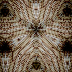 Plywood texture patterns - Prints And Posters