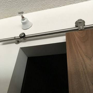 Closet Door - Condo Contemporary Makeover / Remodel