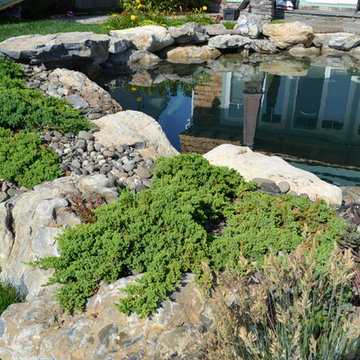 Diamond Pool and Spa