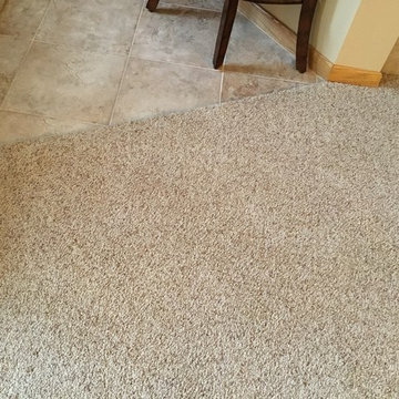 Living Room & Stairs | Speckled Tweed Carpet