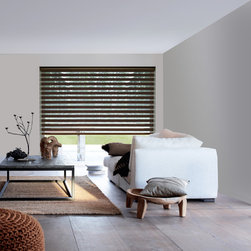 Vision Shades - Products