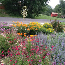 prairie landscaping