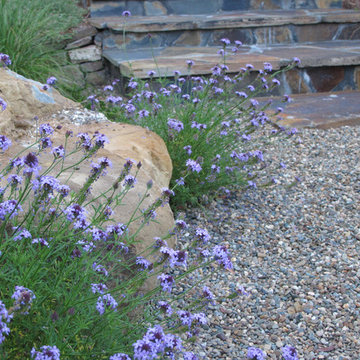 A Look into Our Gardens