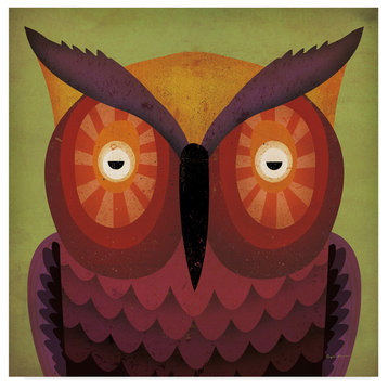Ryan Fowler 'Owl Wow' Canvas Art