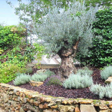Un jardin qui marie le végétal et le minéral (91)