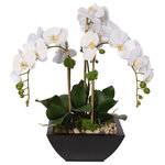 Jenny Silks - Real Touch Arrangement of White Phalaenopsis Orchid & Succulents in a Metal Pot - Real Touch Arrangement of White Phalaenopsis Orchid & Artificial Succulents in a Contemporary Metal Pot