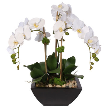 Real Touch Arrangement of White Phalaenopsis Orchid & Succulents in a Metal Pot
